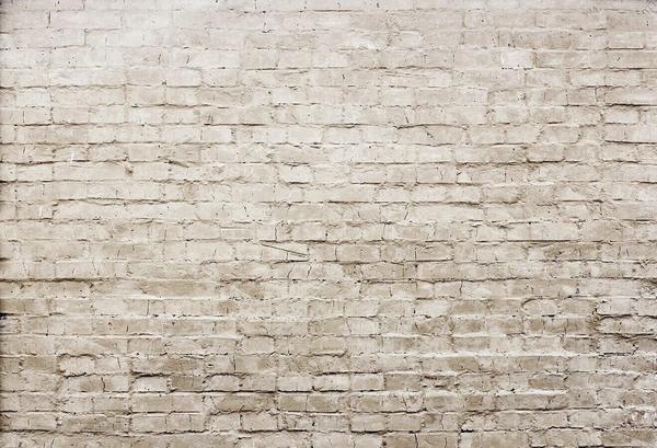 Kate Khaki Brick Wall Backdrop Background photography