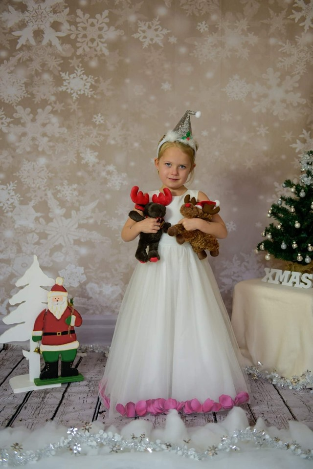 Kate Sliver Glitter Snowflake Snow Winter Christmas Backdrop for Photography - Kate backdrop UK