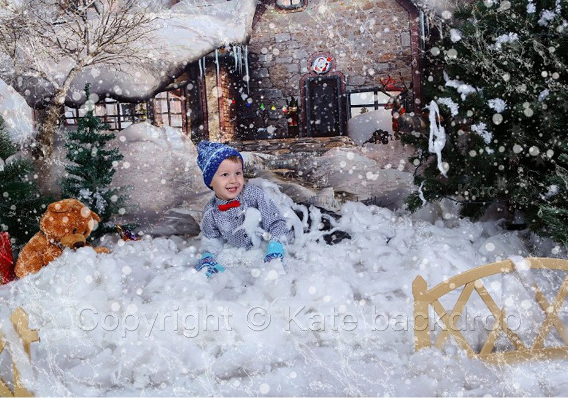 Katebackdrop£ºKate Snow House Fairytale Backdrop Photography With Tree