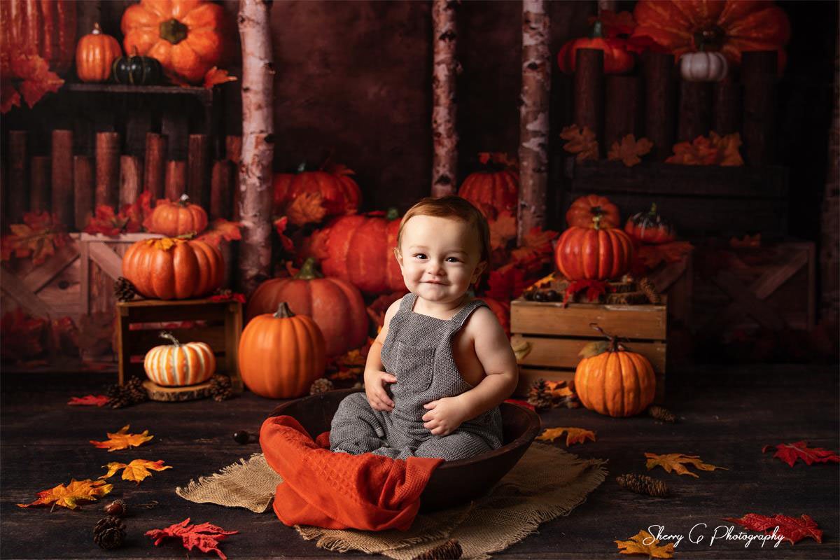Kate Autumn Pumpkins Backdrop Designed by Jia Chan Photography