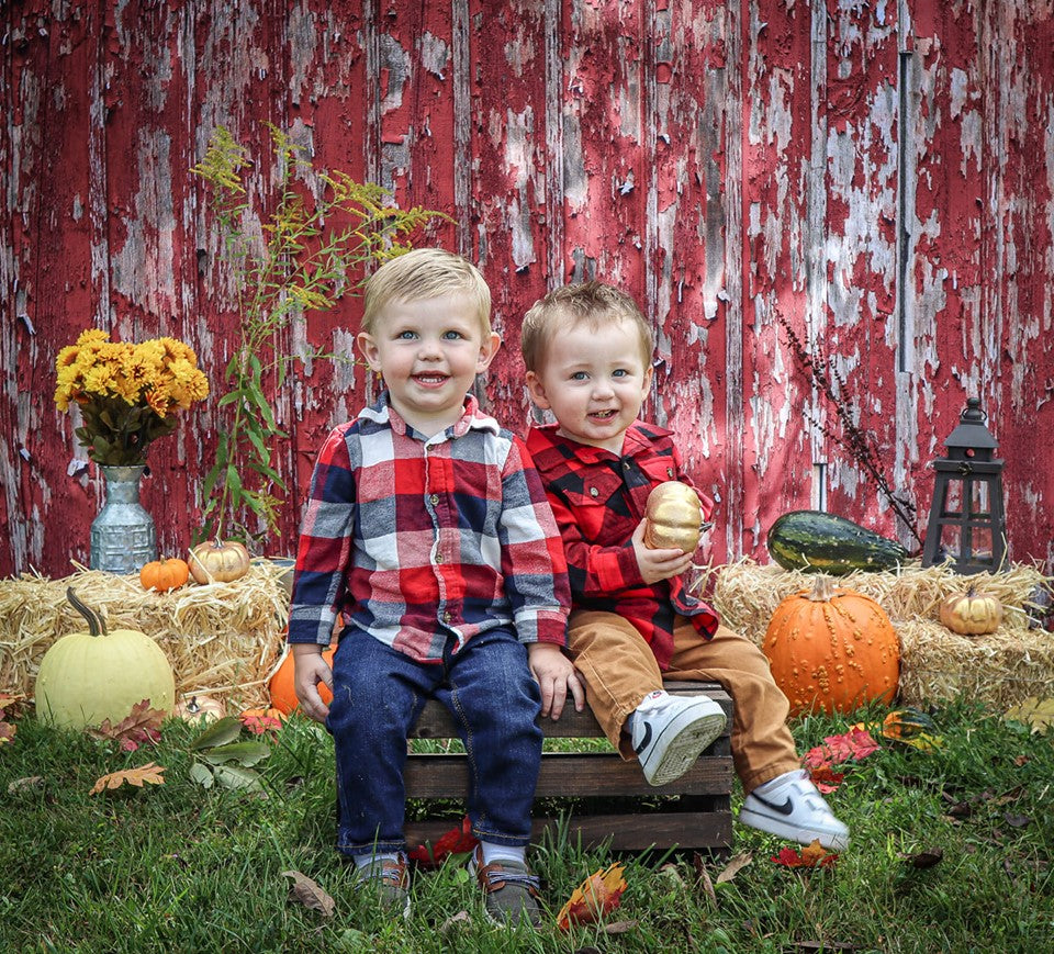 Kate Rustic Red Barn Wood Backdrop for Photography Designed By Mandy Ringe Photography