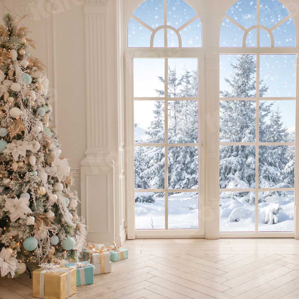 Kate Christmas Window White Winter Backdrop for Photography -UK