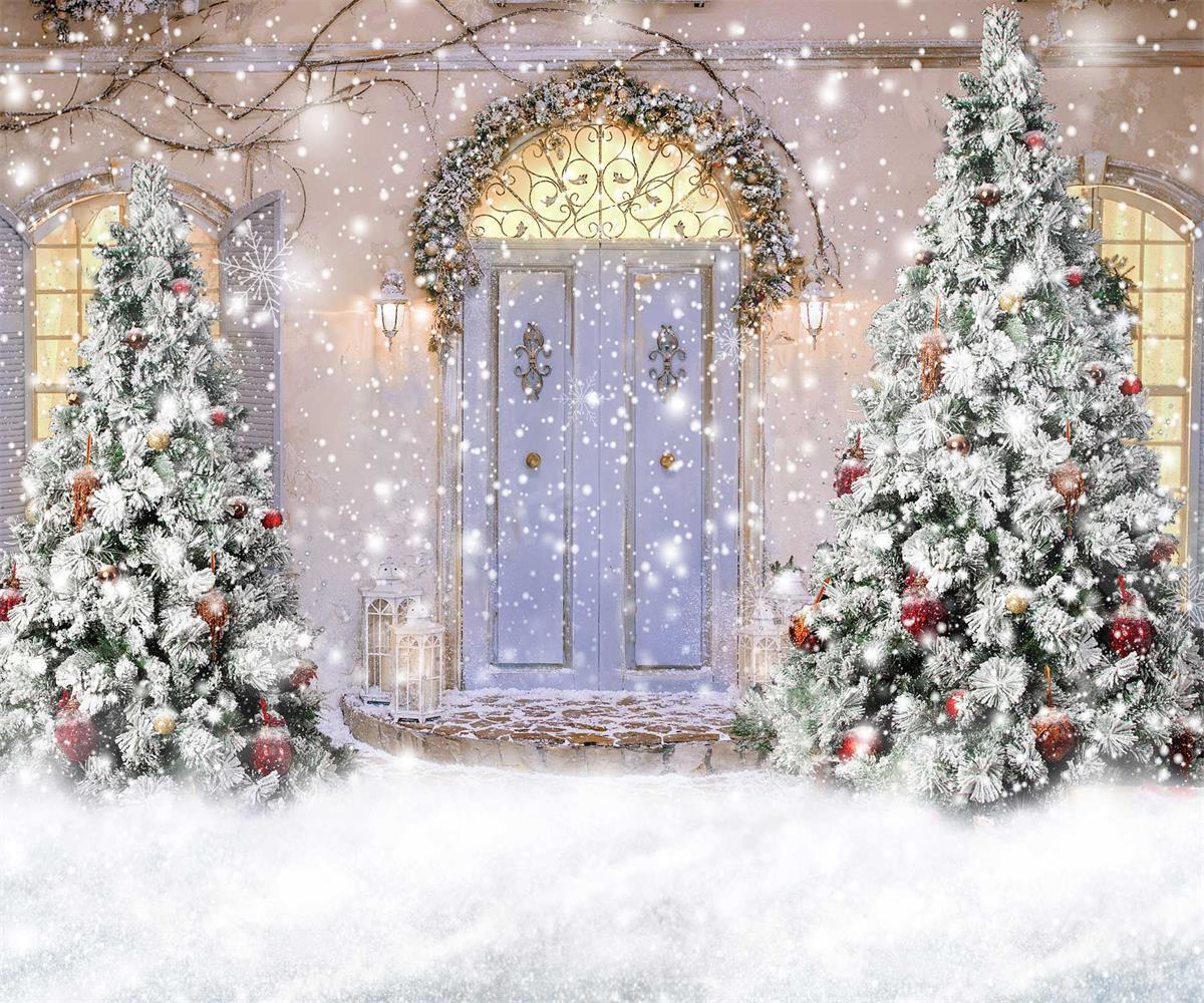 Kate Christmas Door Front Snow Backdrop for Photography -UK