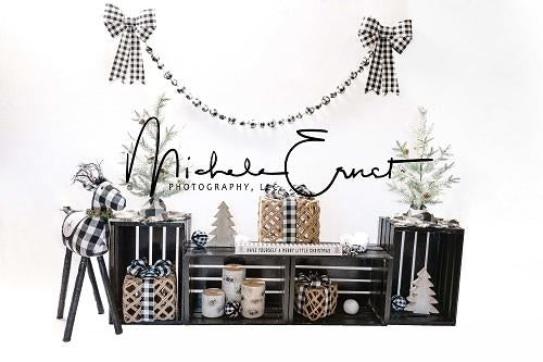 Kate Christmas Black and White Grid Backdrop Designed By Michele Ernst Photography