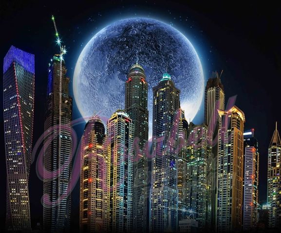 Kate Night City Backdrop Designed by Rosabell Photography