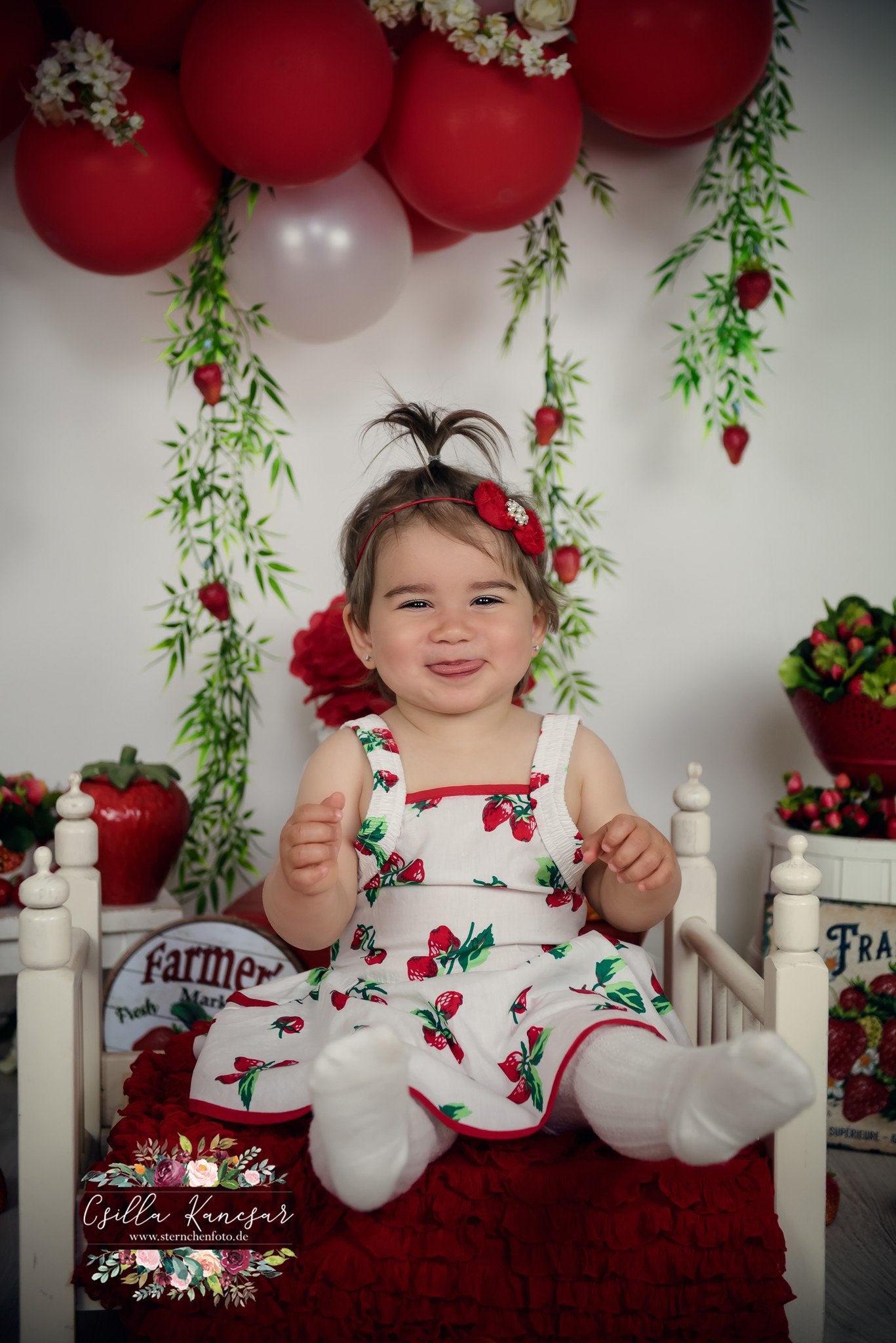 Kate Summer Backdrop Strawberry Apple Red Balloons Designed by Csilla Kancsar