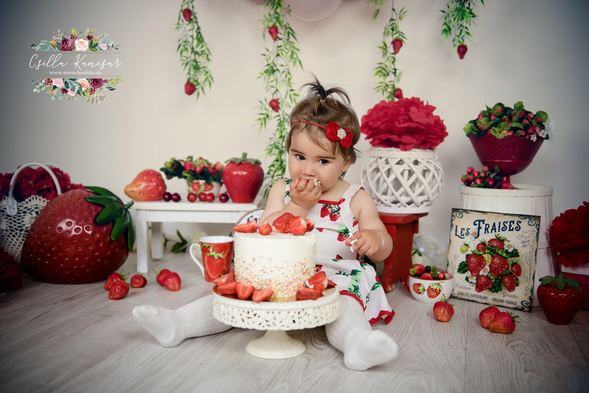 Kate Summer Backdrop Strawberry Apple Red Balloons Designed by Csilla Kancsar -UK